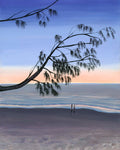 Casuarina silhouettes
