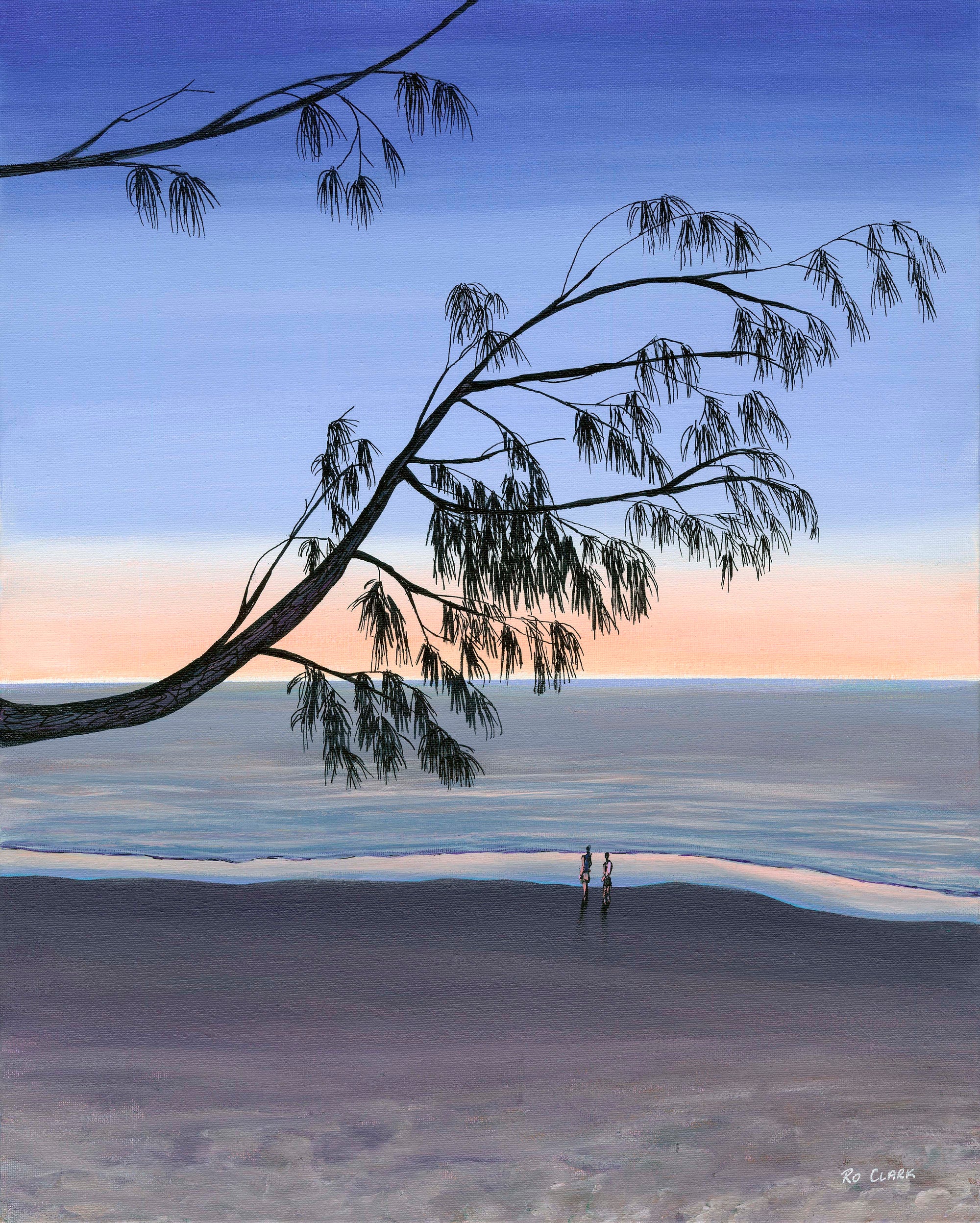 Casuarina silhouettes