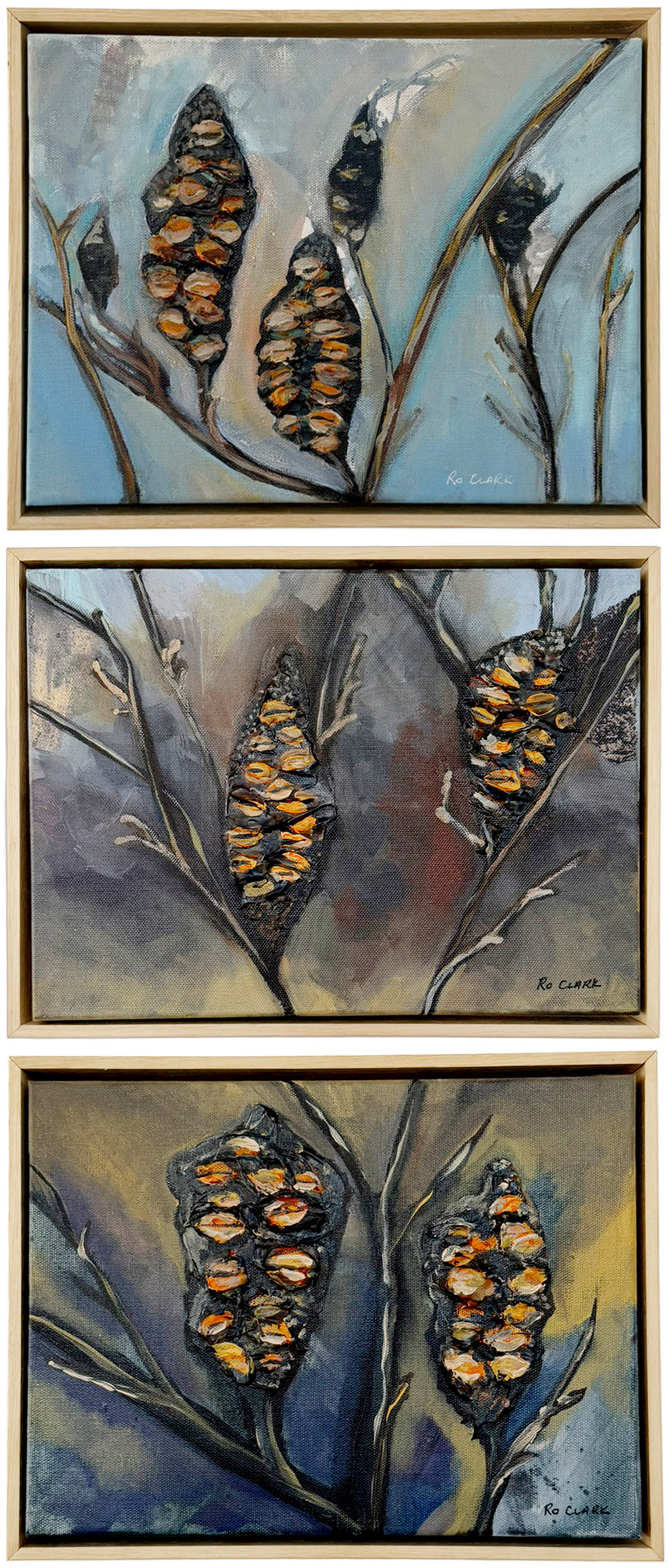 Seeds of tomorrow I, II, III (Originals)