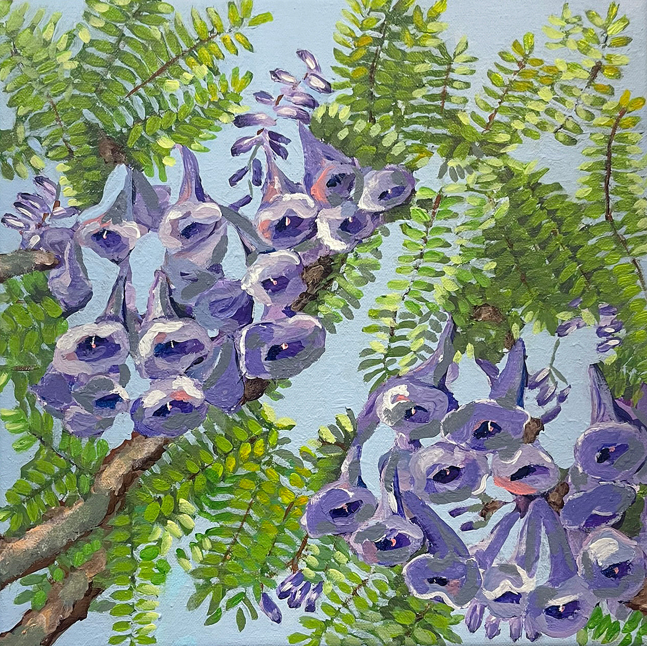 Jacaranda Days (Original)