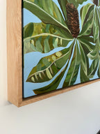 Banksia “Robust” Robur (Original)