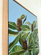 Banksia “Robust” Robur (Original)