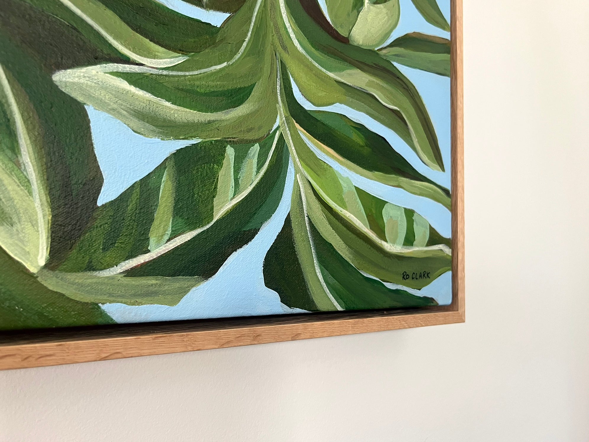 Banksia “Robust” Robur (Original)