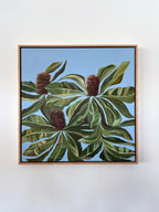 Banksia “Robust” Robur (Original)