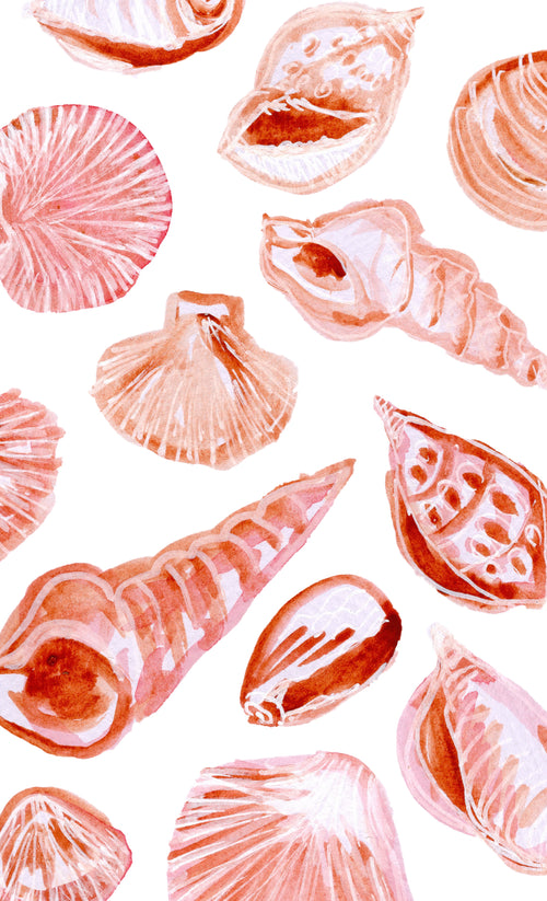 Beach shells