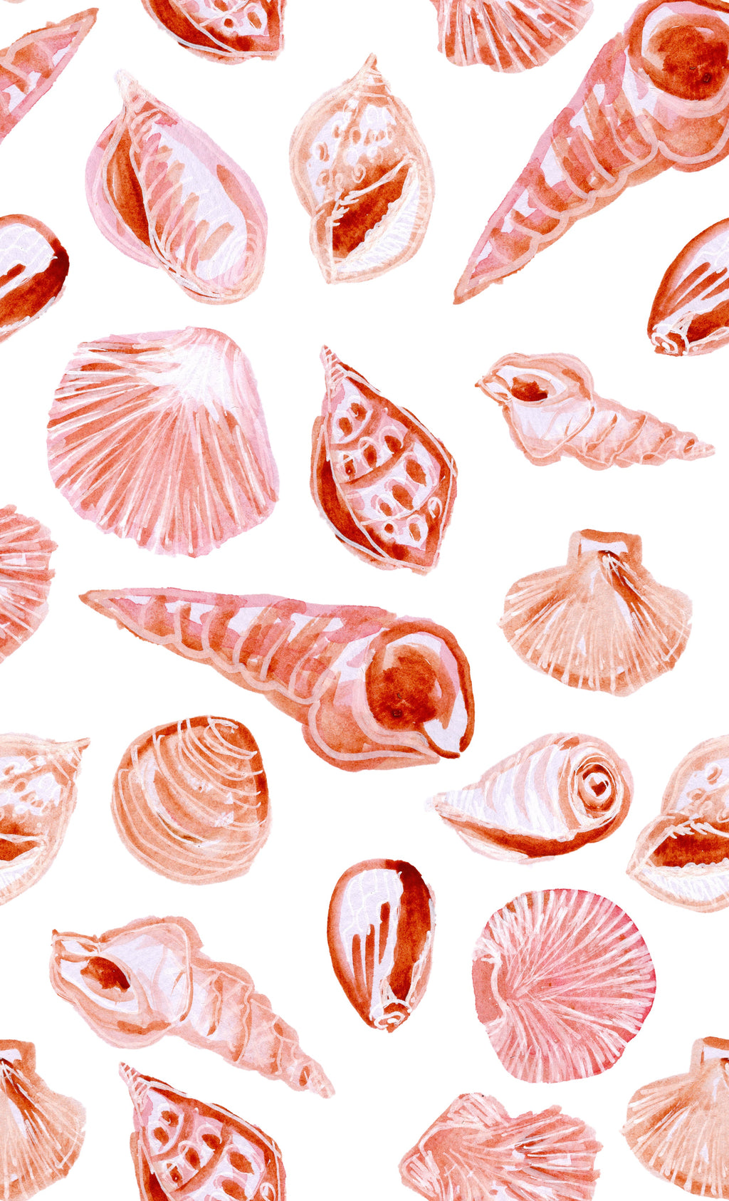 Beach shells