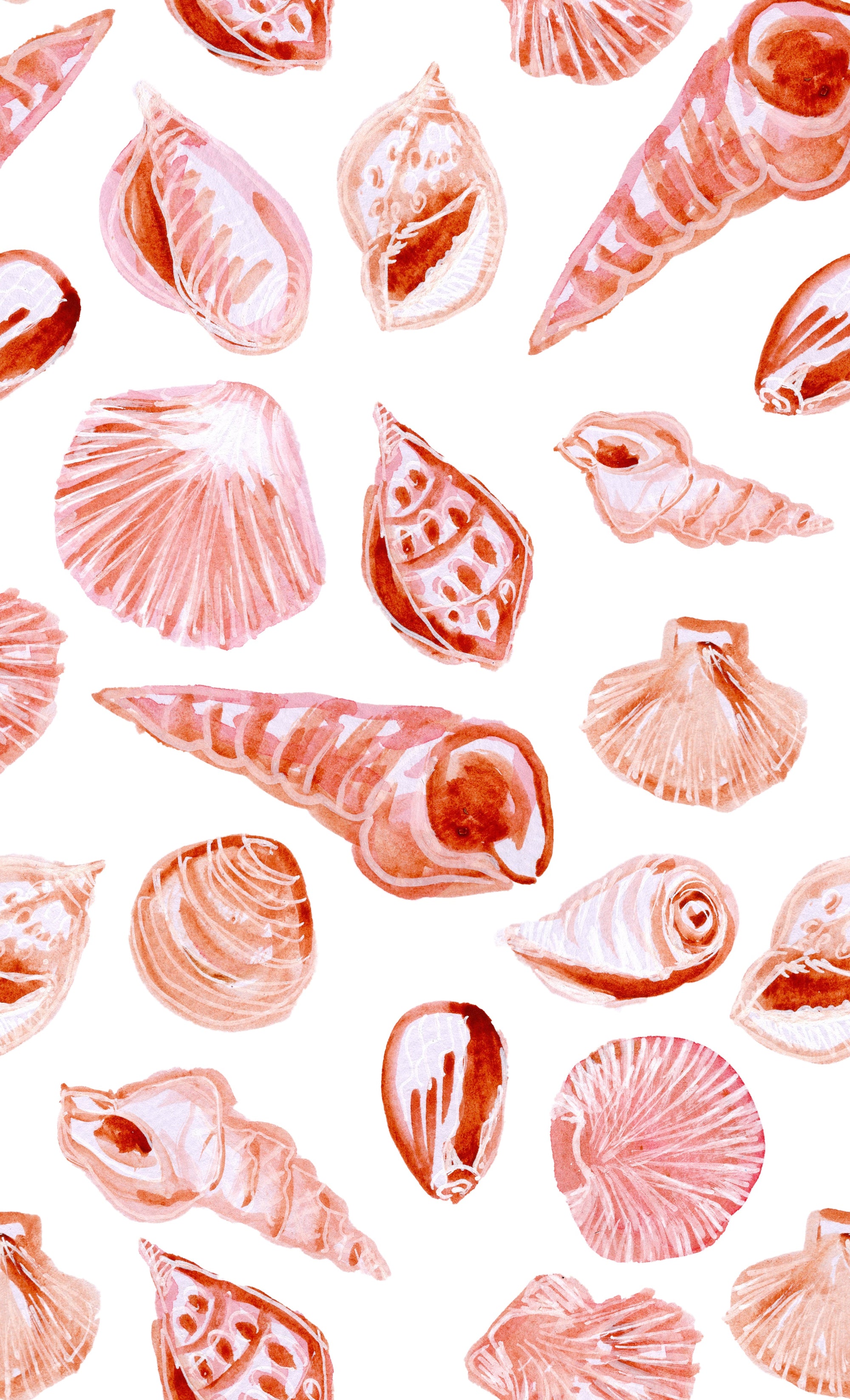 Beach shells