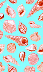 Beach shells