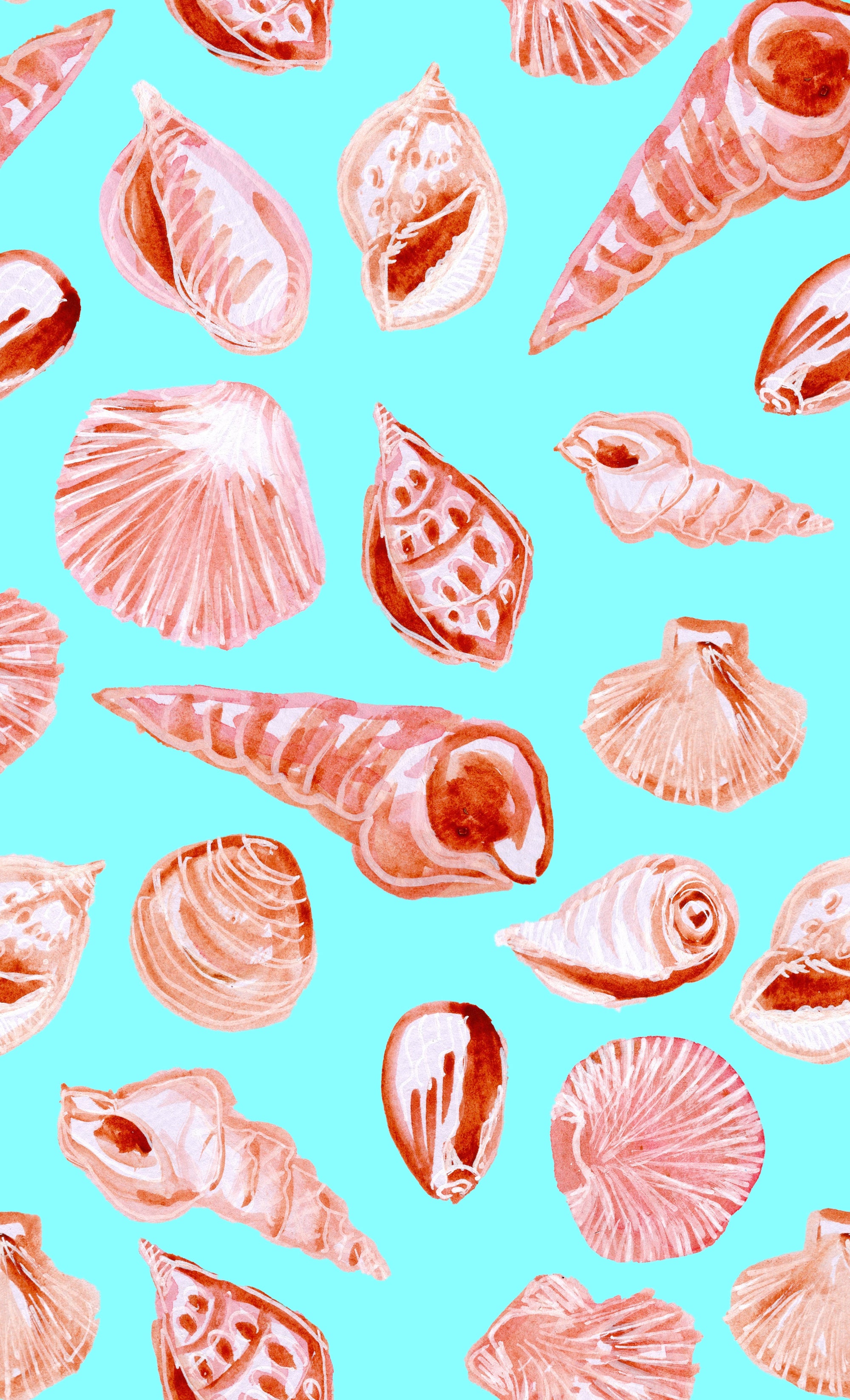 Beach shells