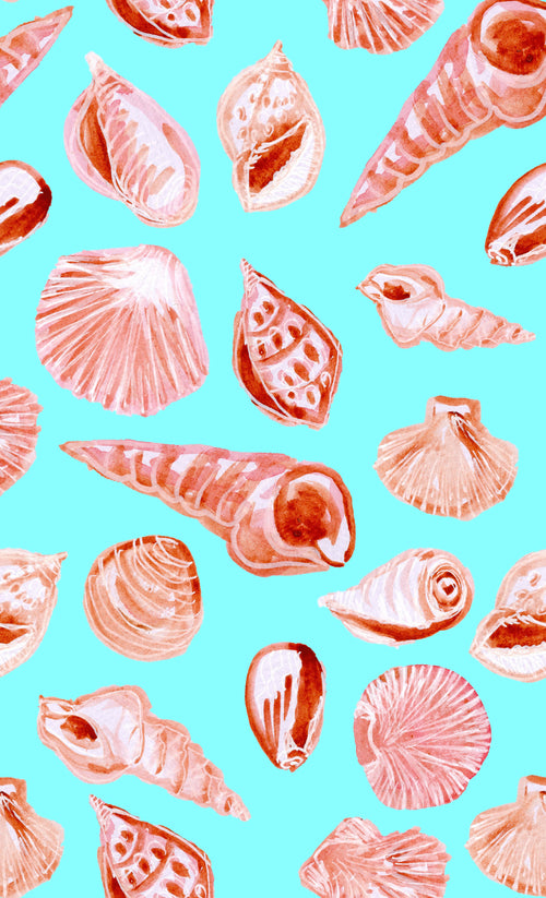 Beach shells