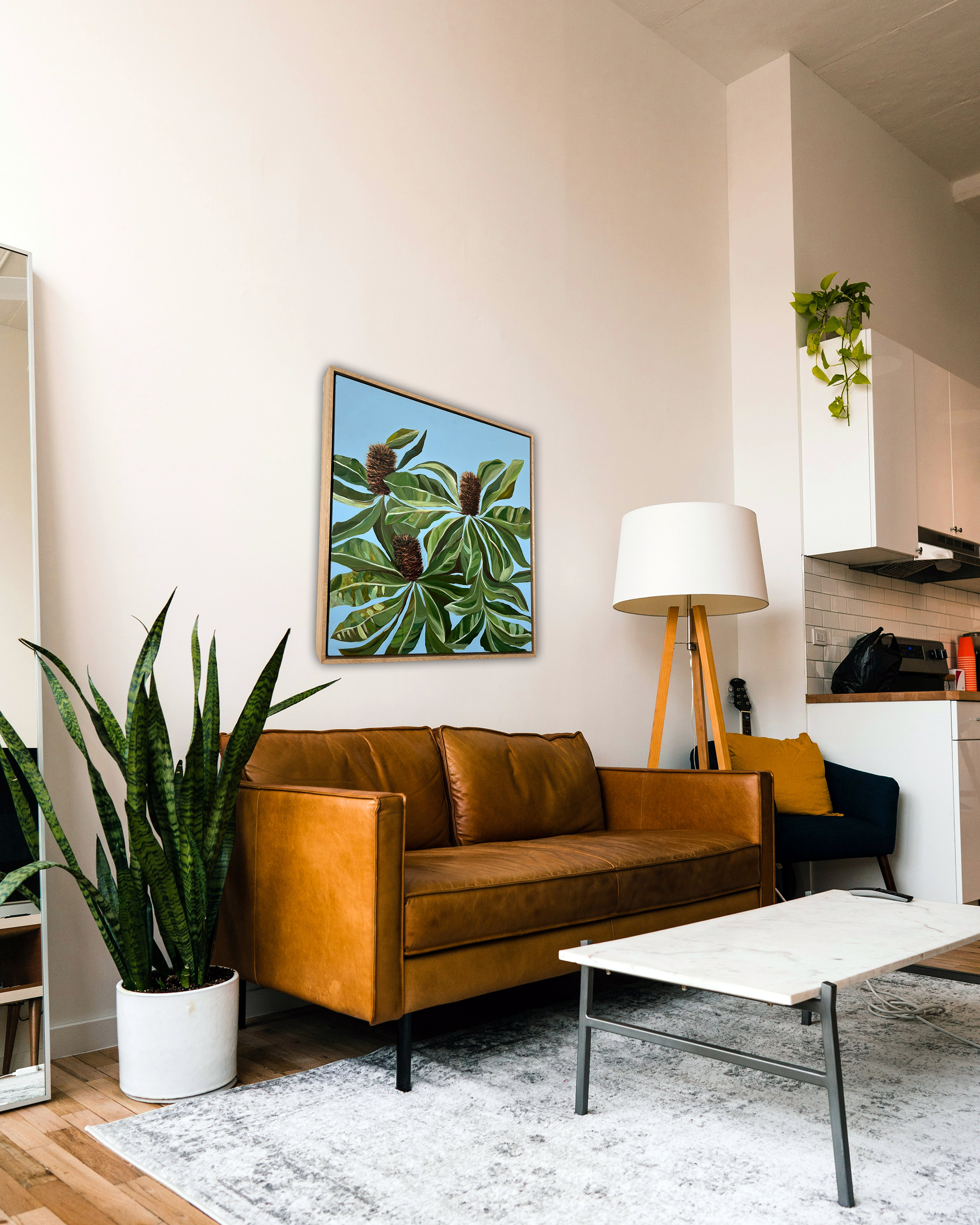 Banksia “Robust” Robur (Original)