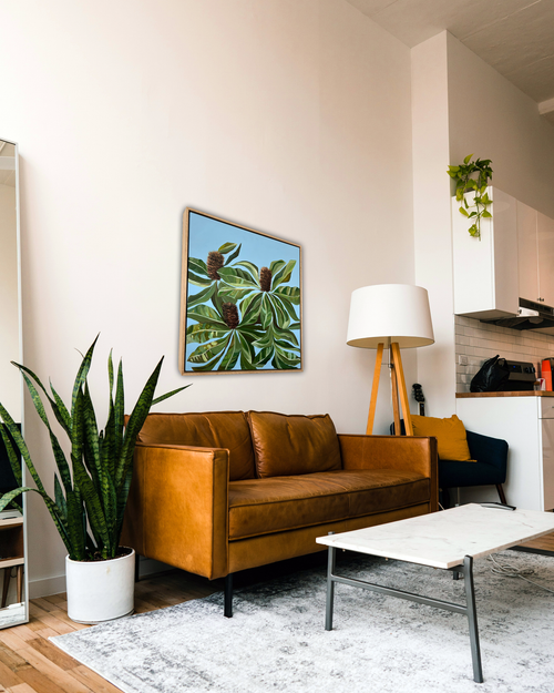 Banksia “Robust” Robur (Original)